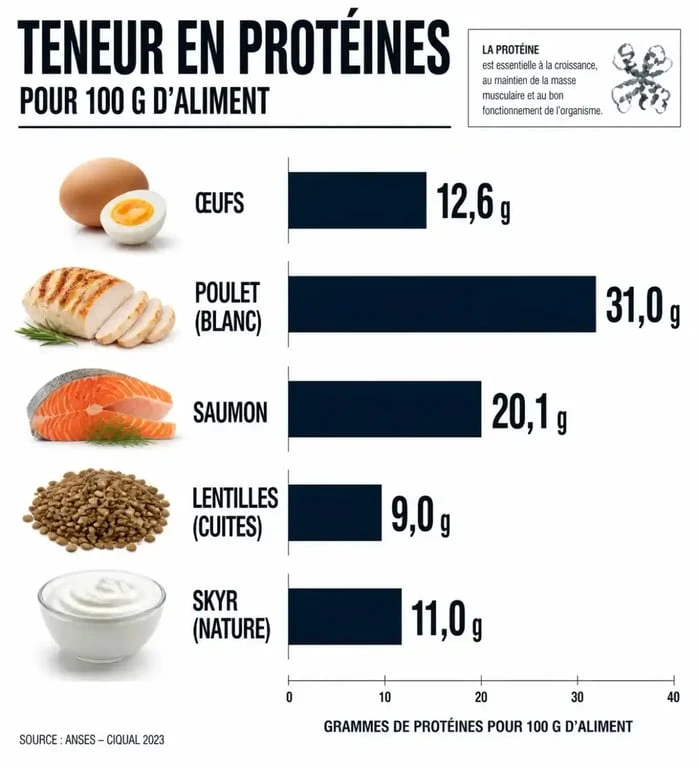 Infographie sur les aliments riches en protéines pour personnes âgées et leurs apports nutritionnels